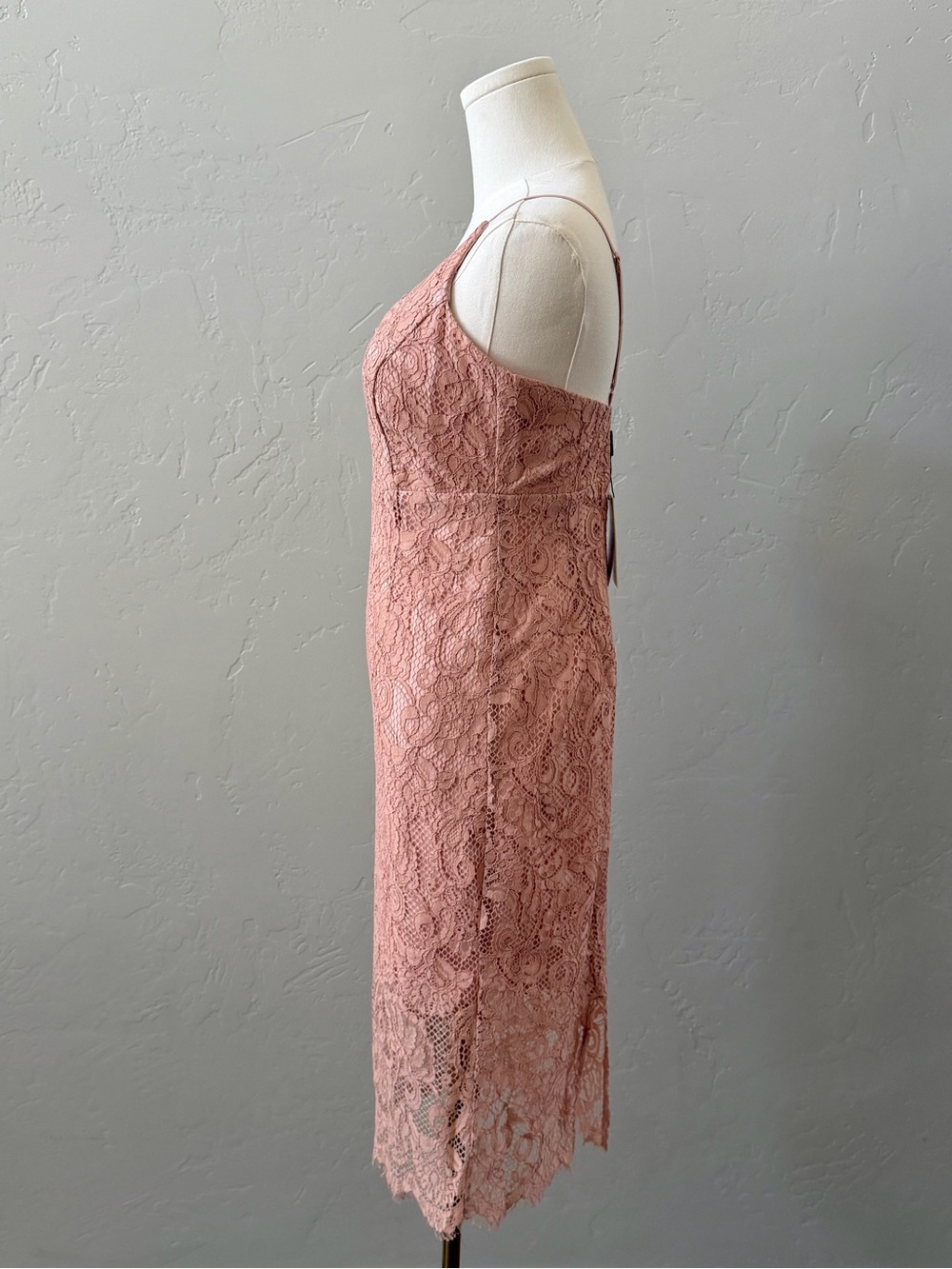 Bardot Gia Lace Midi Dress Blush Pink Wedding Guest Pencil NWT 6 - Picture 3 of 14